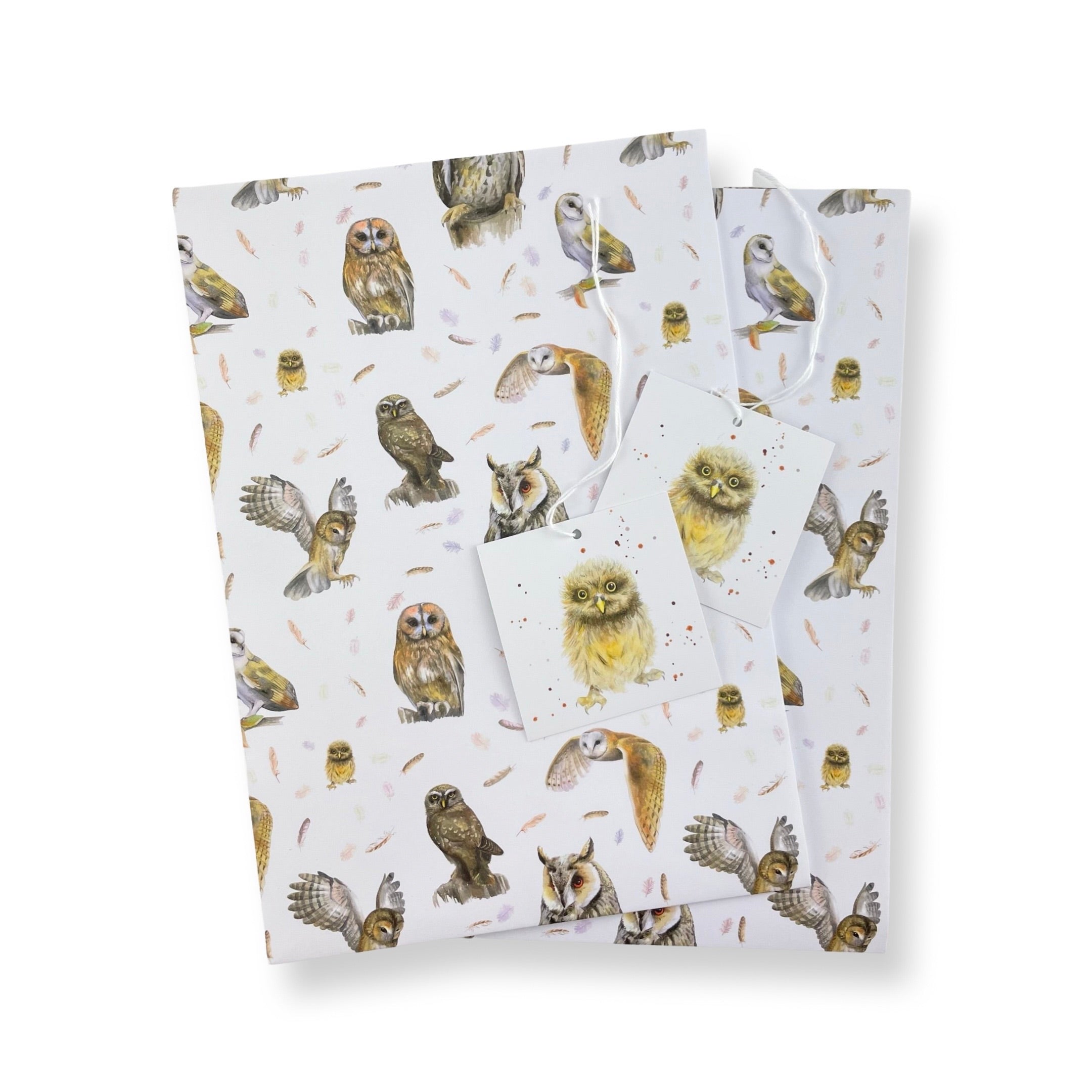 Owl Recycled and Recyclable Wrapping Paper