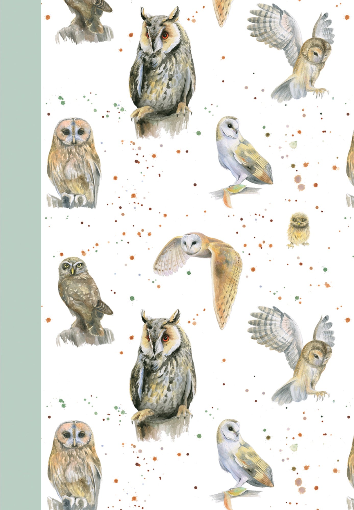 Owls Jotter