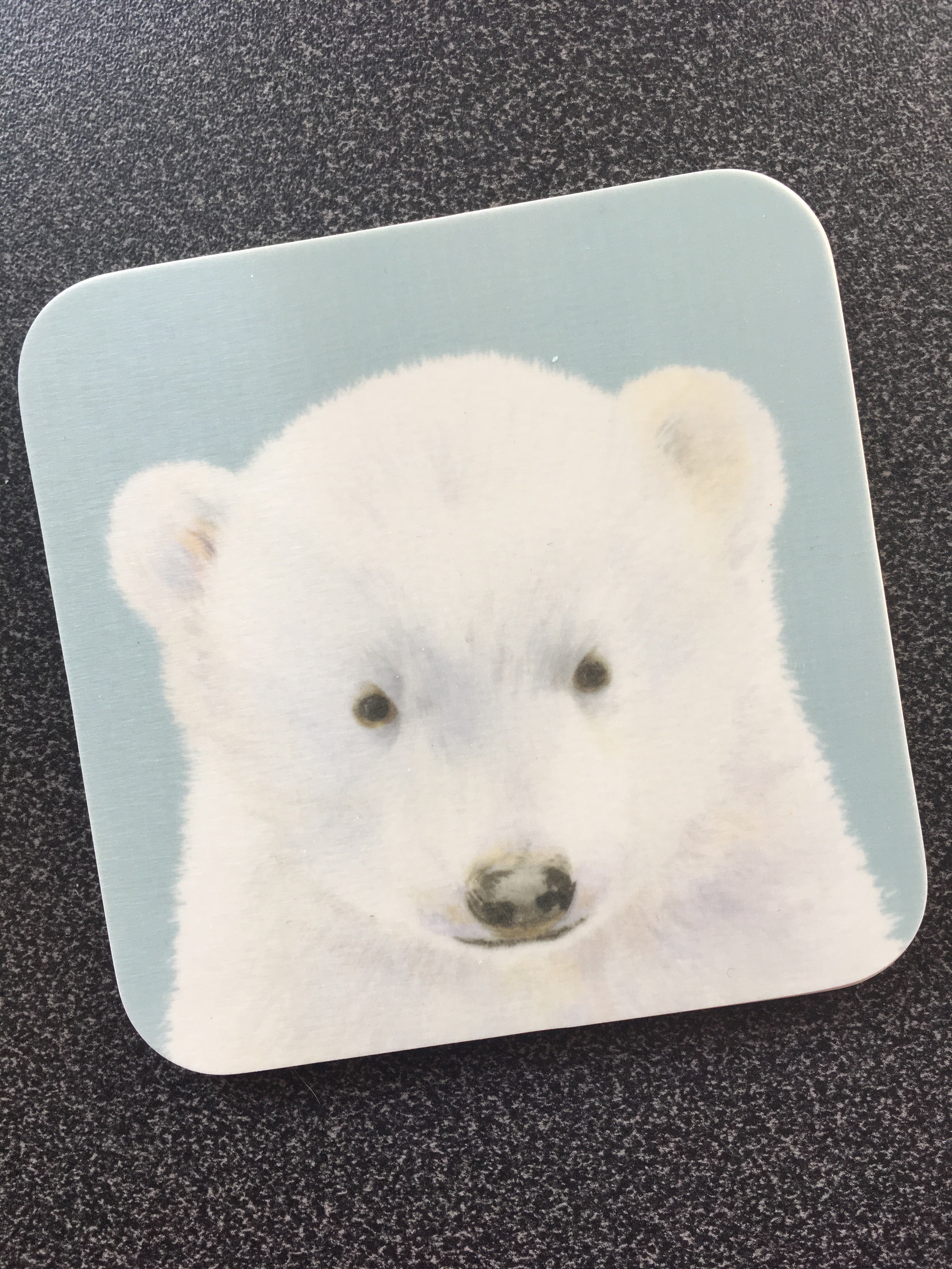 Hamish Polar Bear Coaster