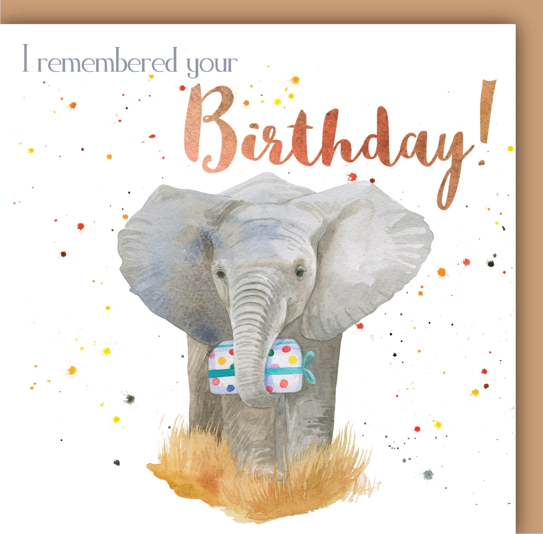 Elephant ‘I remembered your Birthday ’ Birthday Card