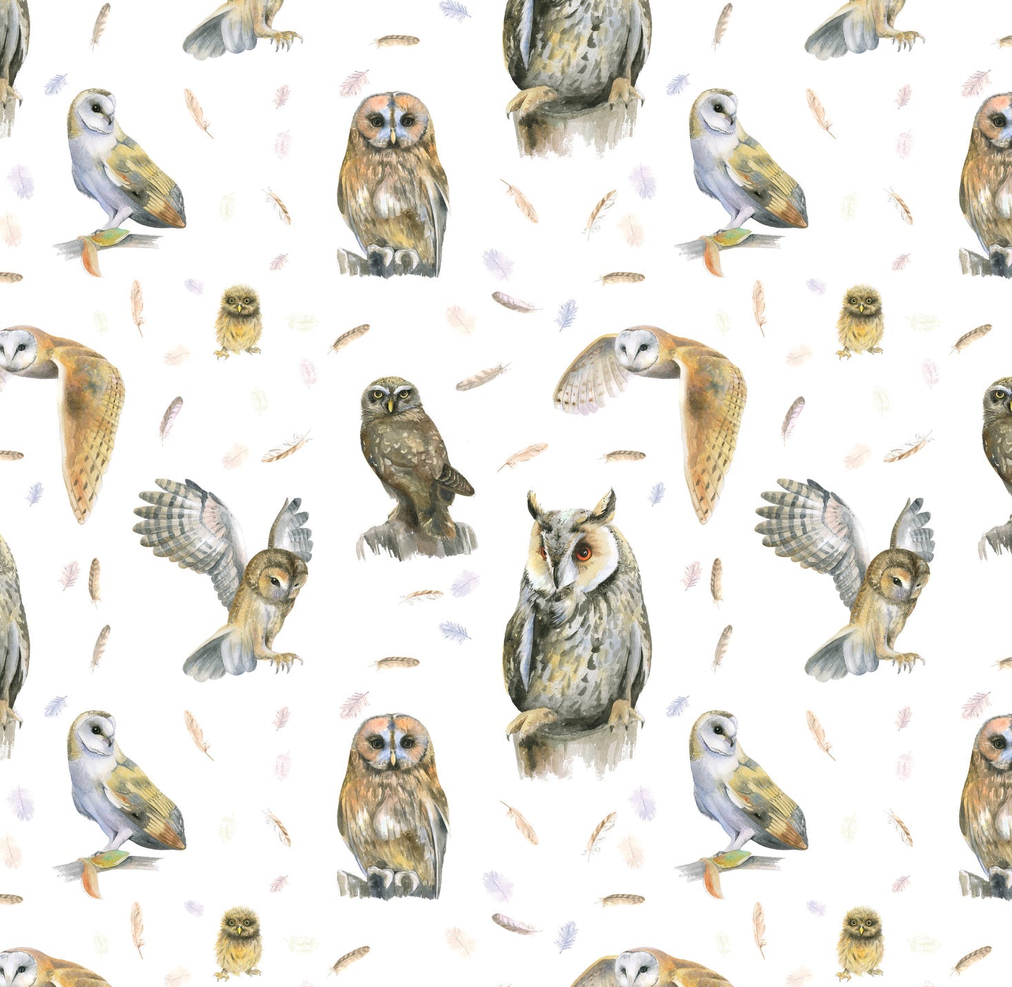 Owl Recycled and Recyclable Wrapping Paper